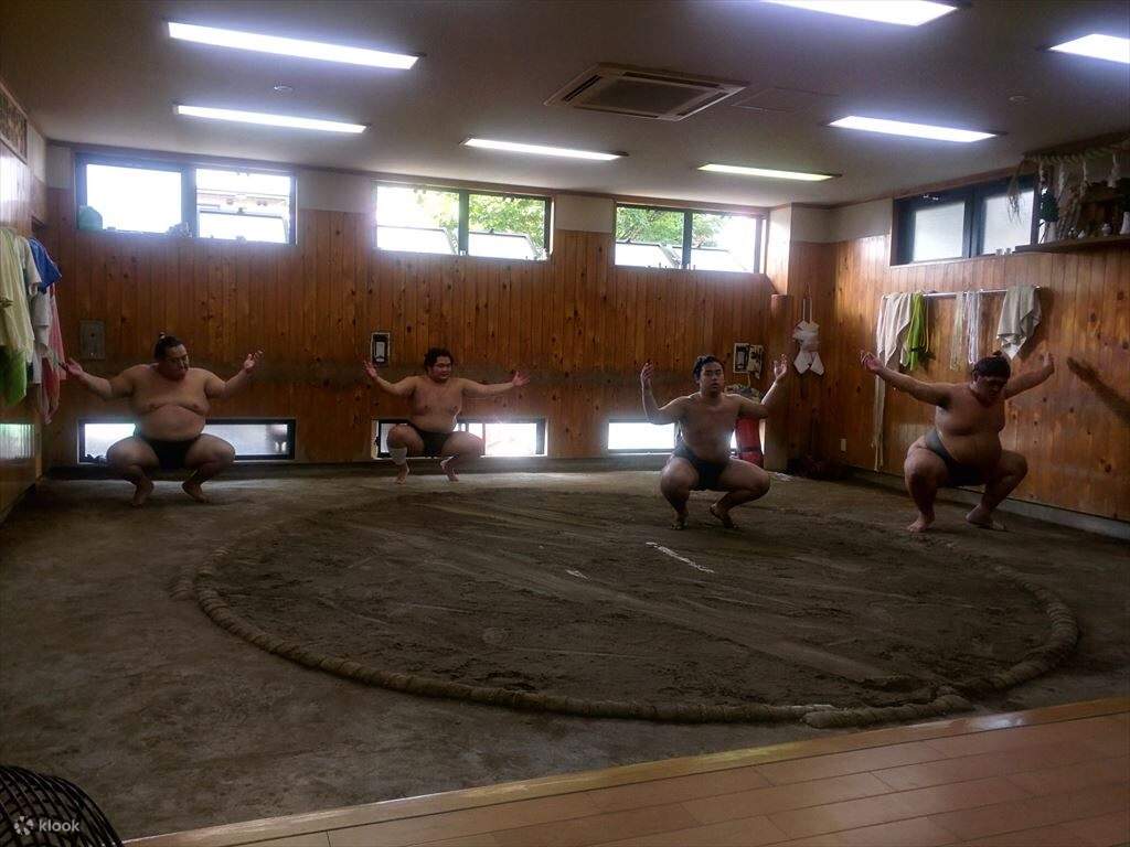 Entraînement matinal de sumo