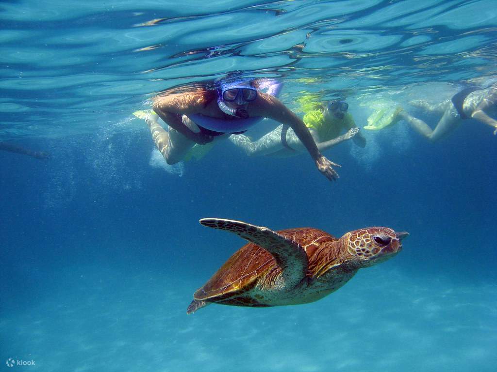 Tour Ngày Lặn ống thở Semporna