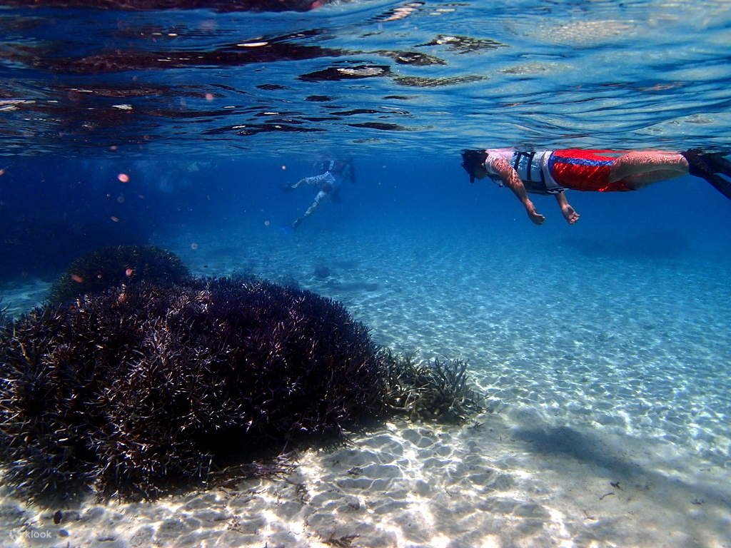 man snorkeling in blue cave ishigaki