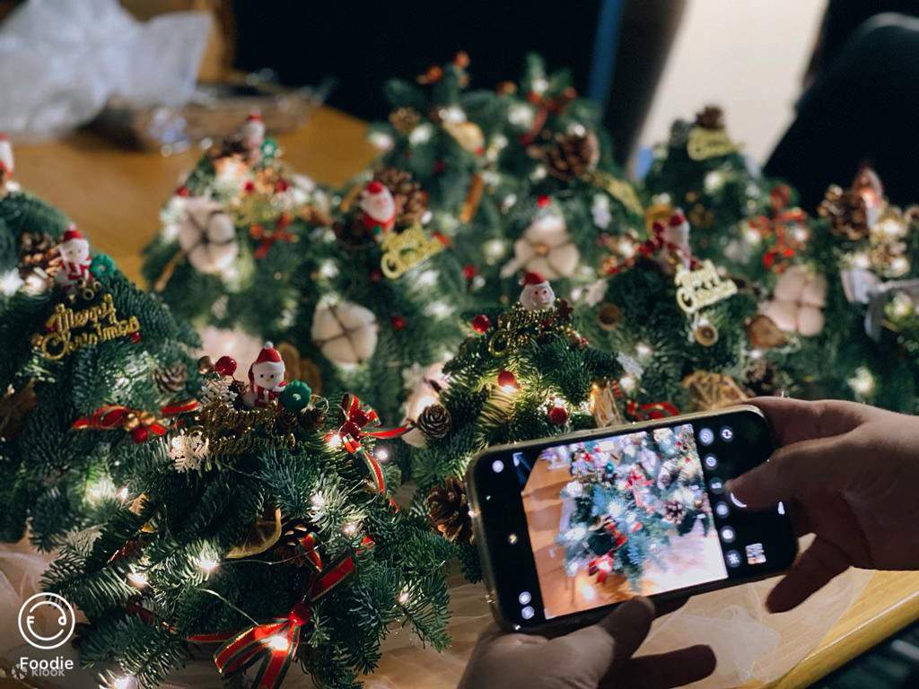 Lokakarya Pohon Natal Mini Bunga Myosotis