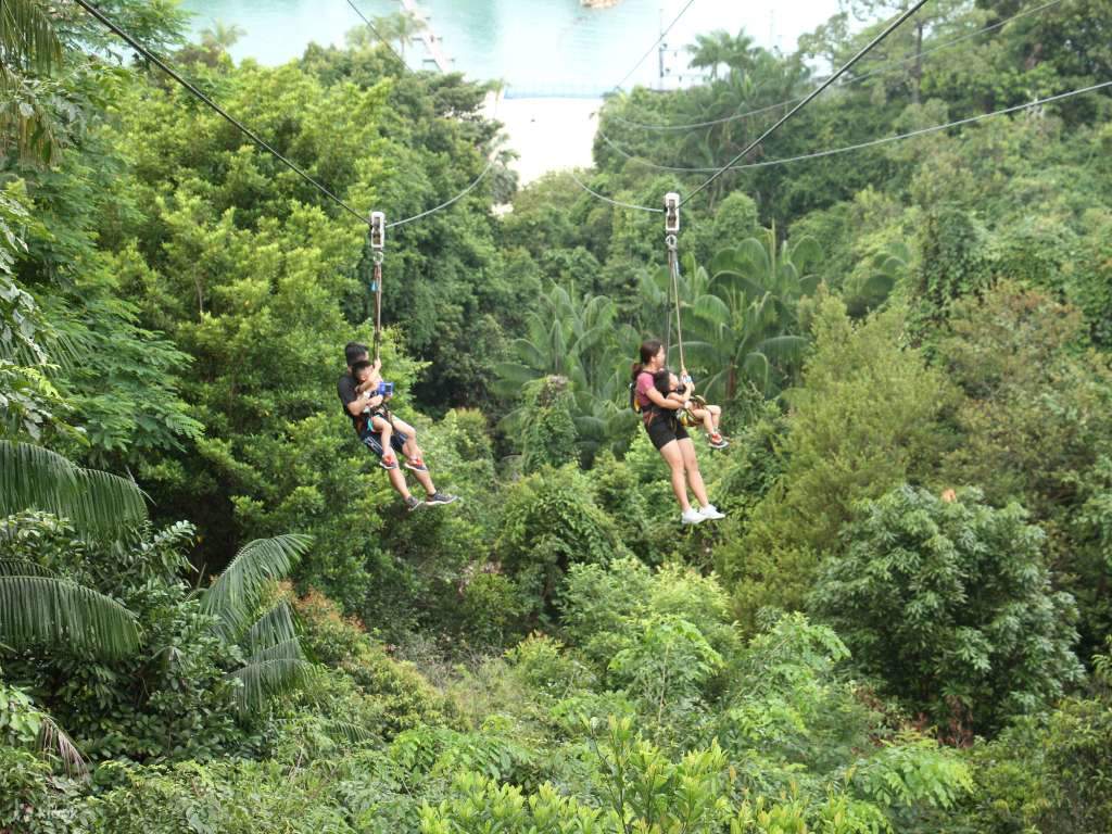 зиплайнинг в Сингапуре