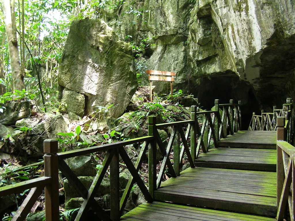 Caving Adventure in Kuching, Sarawak