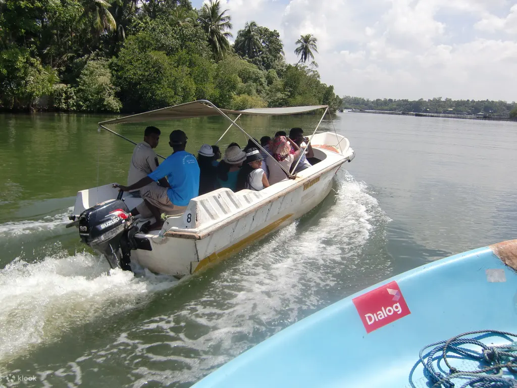 科伦坡的 Balapitiya River Safari 和自然之旅