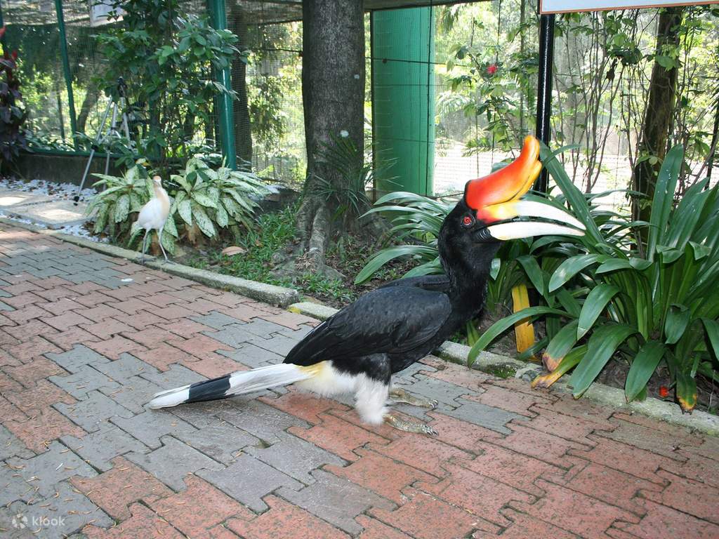 kl bird park