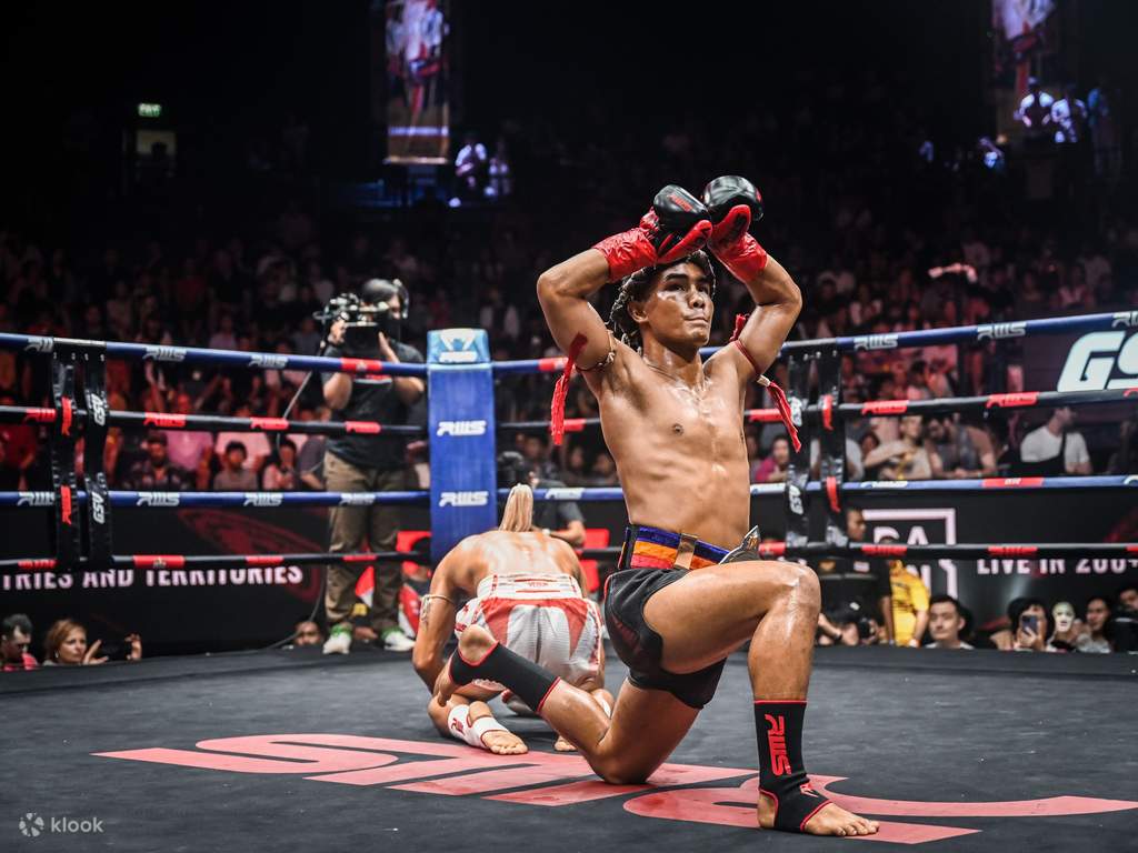 cheer on professional fighters at a muay thai match