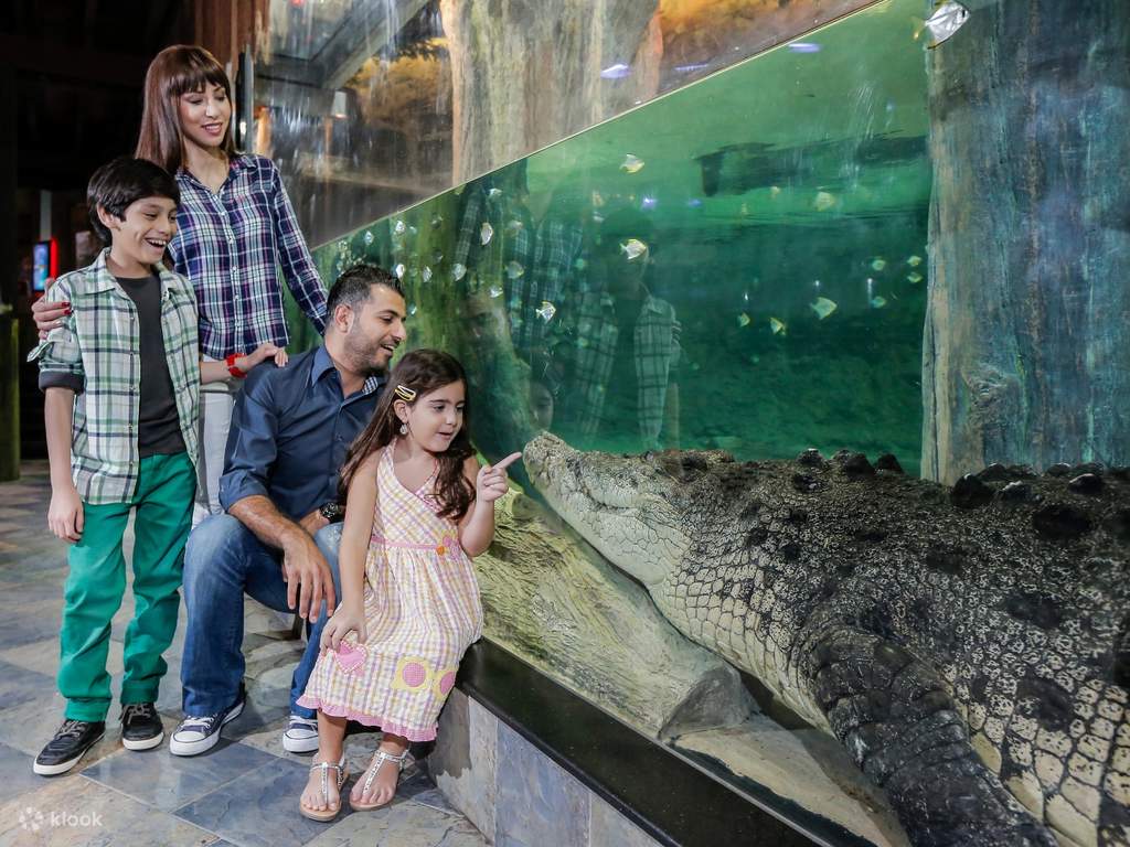 Dubai Aquarium and Underwater Zoo at Dubai Mall