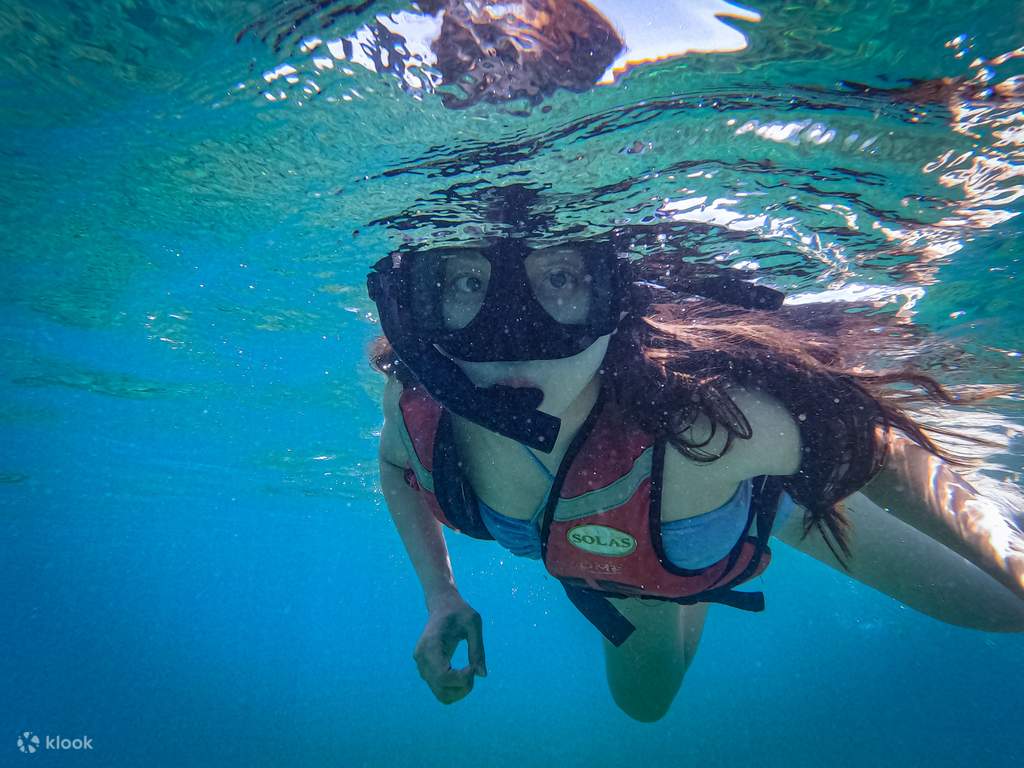 opt for a snorkeling escapade on mengalum island