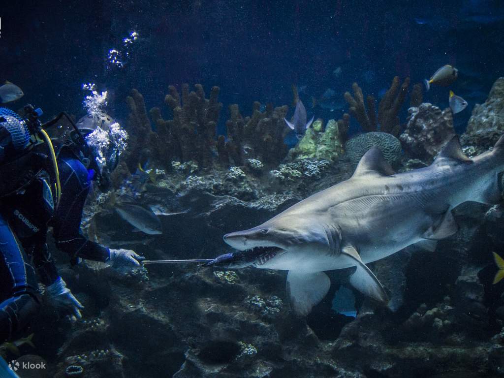 aquaria klcc