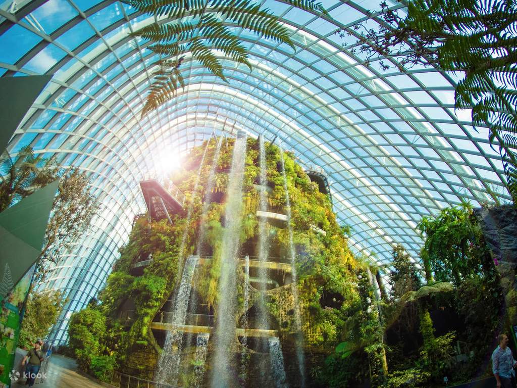 attractions in singapore | gardens by the bay