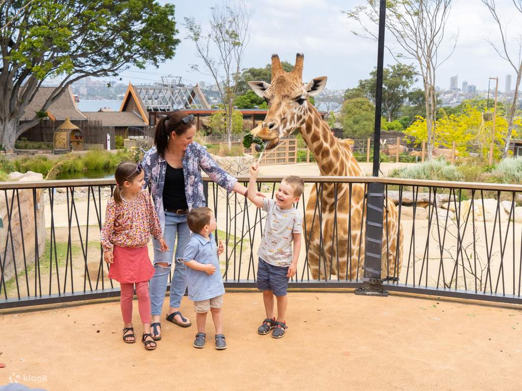 taronga zoo visit