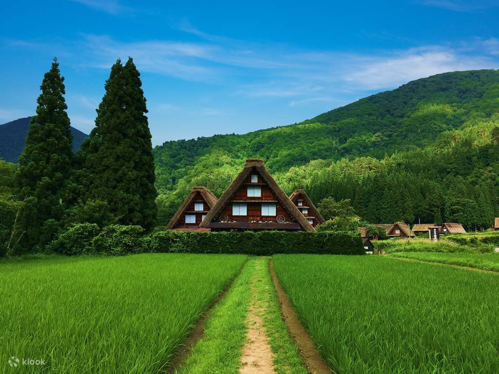 places to visit in japan | takayama