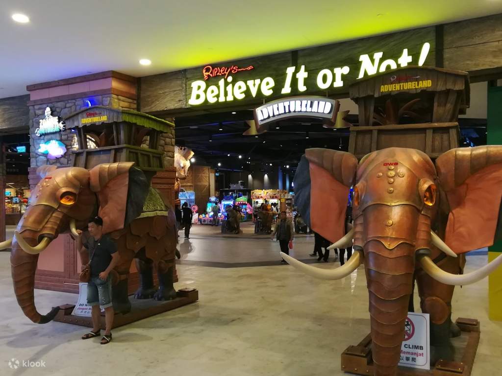 marvel at the exhibits at ripley's believe it or not