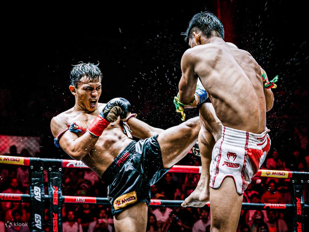 cheer on professional fighters at a muay thai match