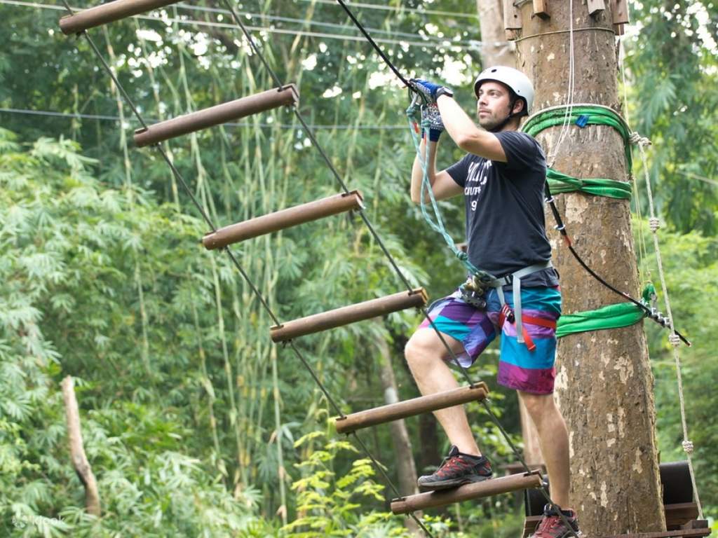have an exciting time at tree top adventure park