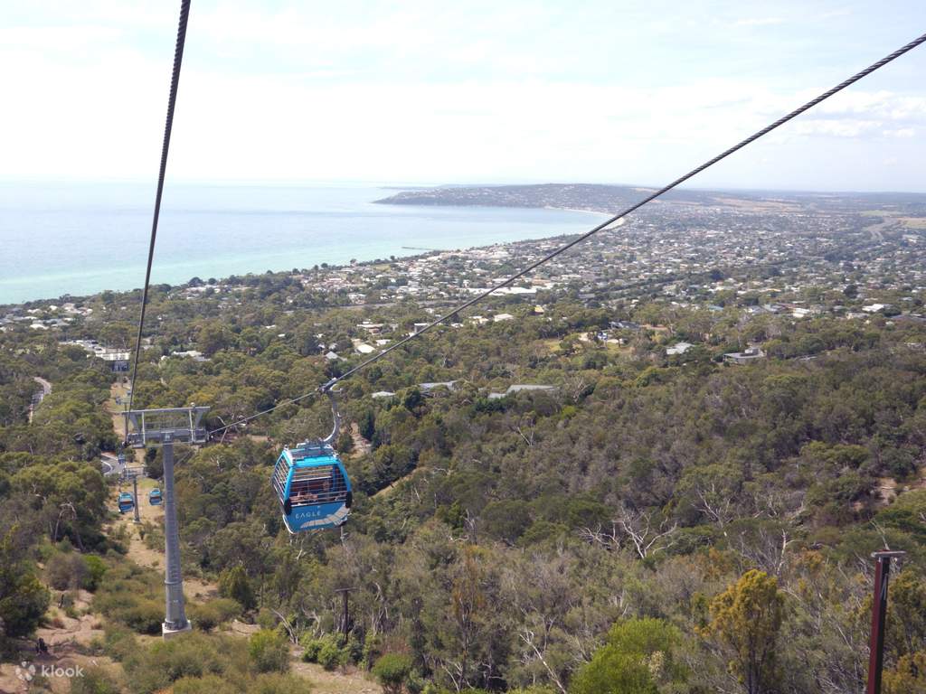 taste the pinot noirs at mornington peninsula