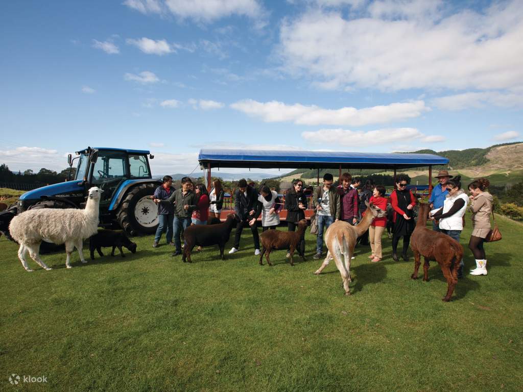 agrodome farm