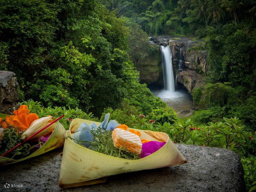 day 8: ubud - natural wonders await