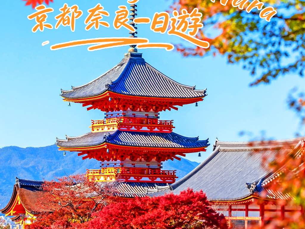 奈良：從大阪出發到清水寺、伏見稻荷大社、奈良公園