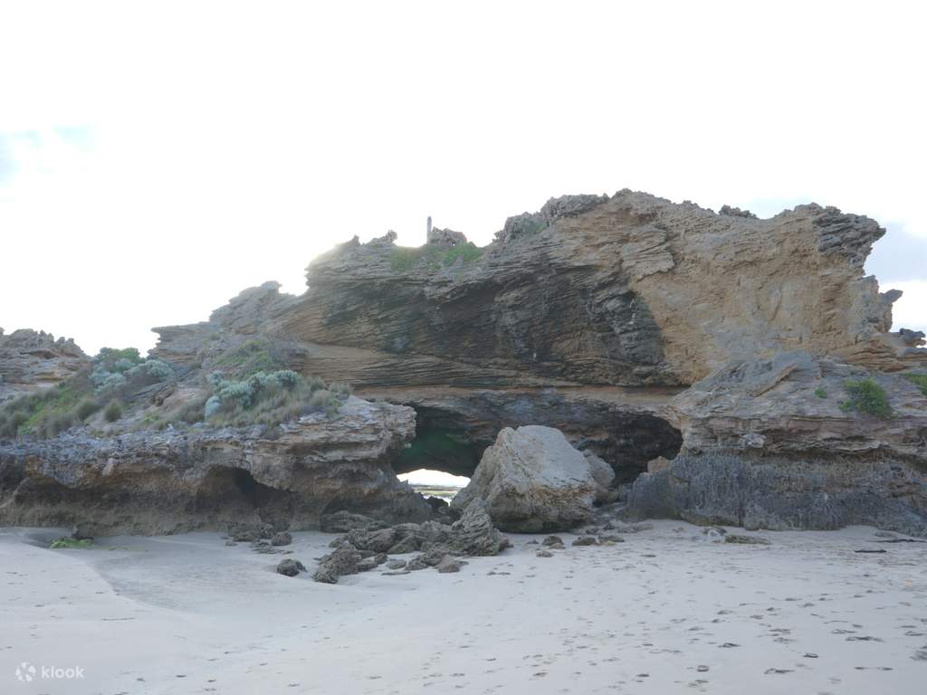 taste the pinot noirs at mornington peninsula
