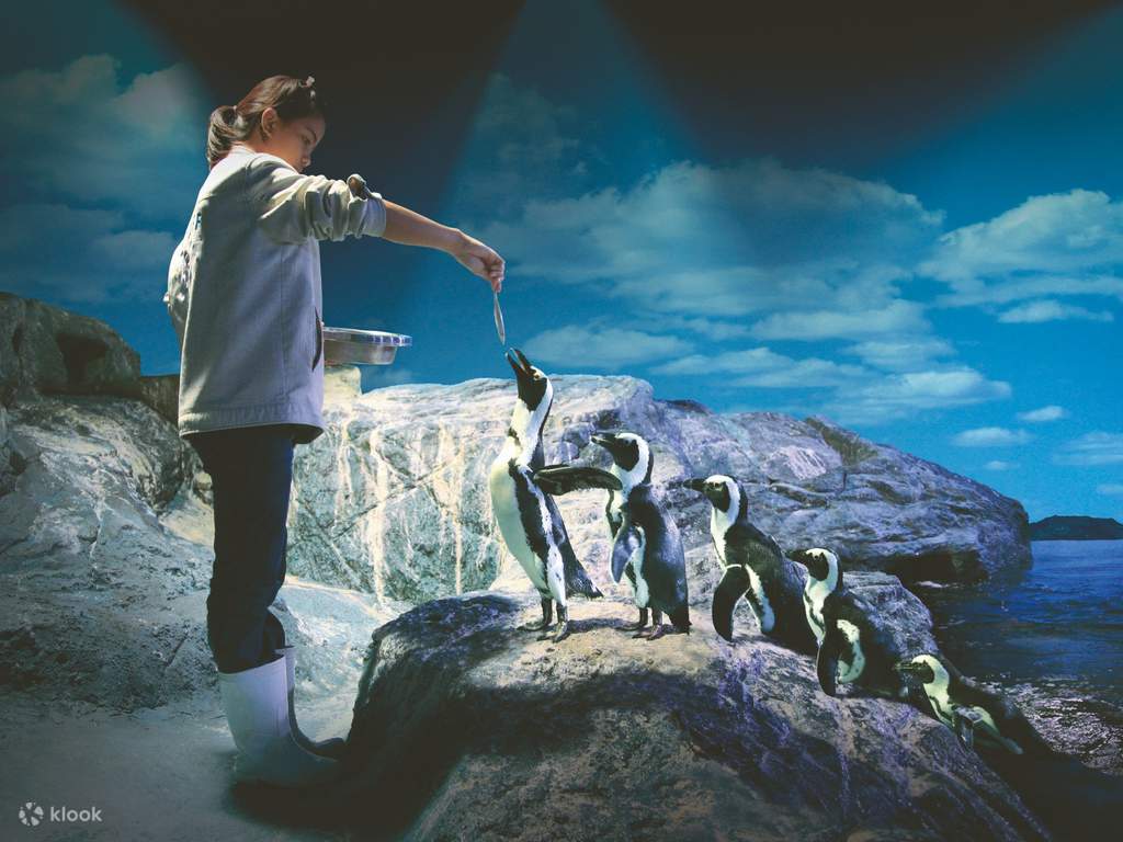 sea life bangkok ocean world