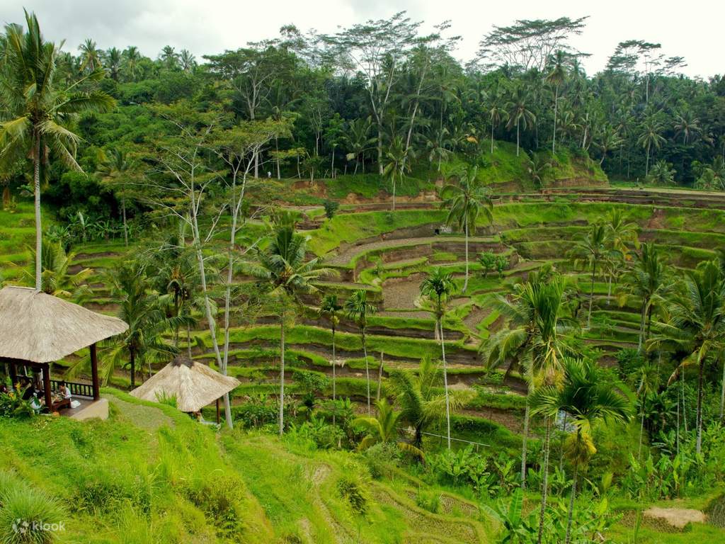 day 7: ubud - heading there