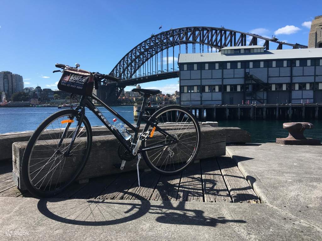 enjoy a comfortable biking tour in a small group
