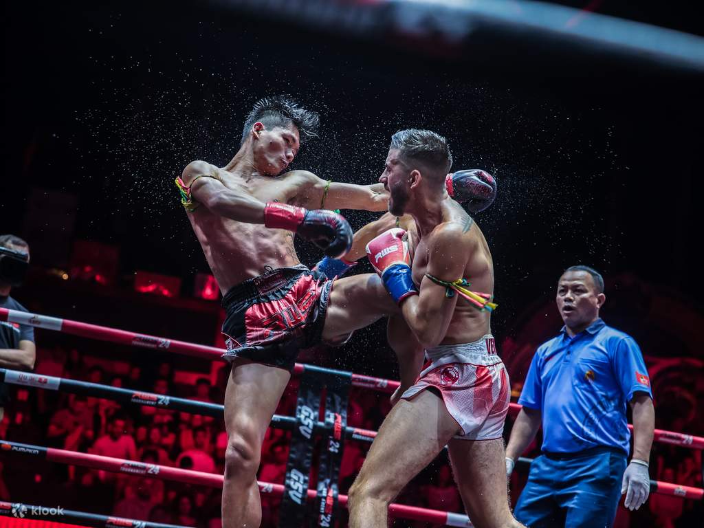 cheer on professional fighters at a muay thai match