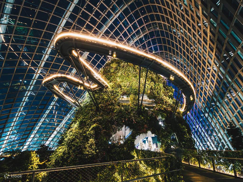 gardens by the bay
