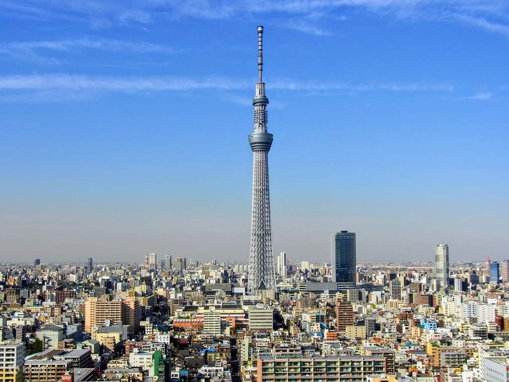 kochia hill sightseeing day tour from tokyo