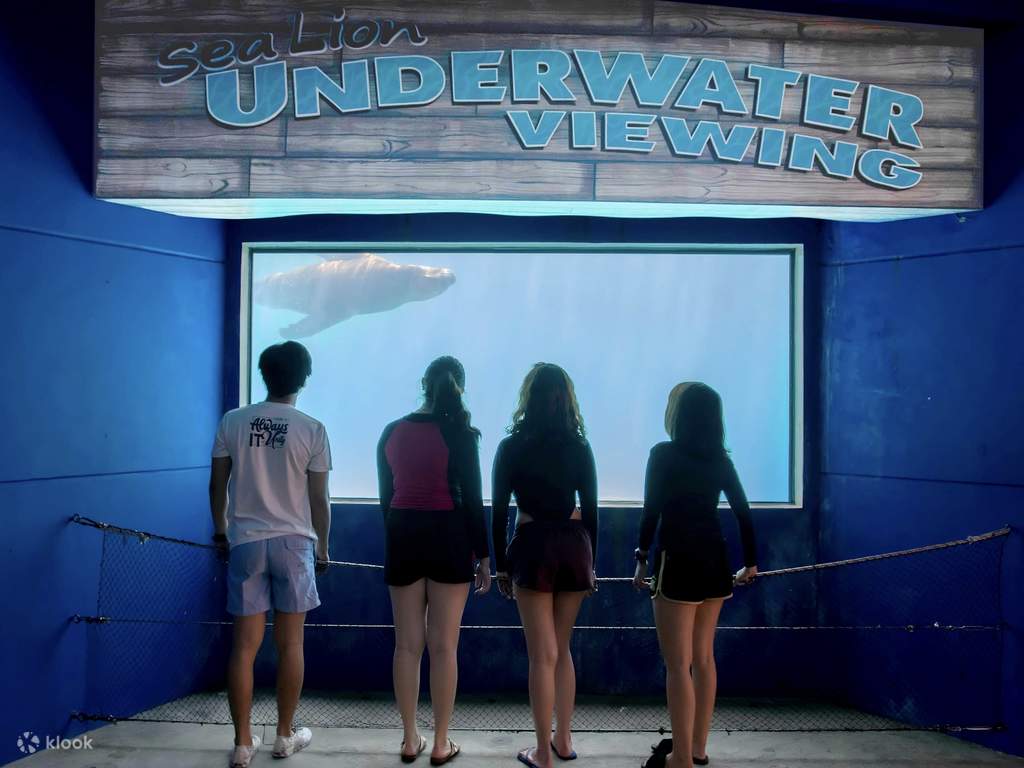get closer to ocean animals at ocean adventure