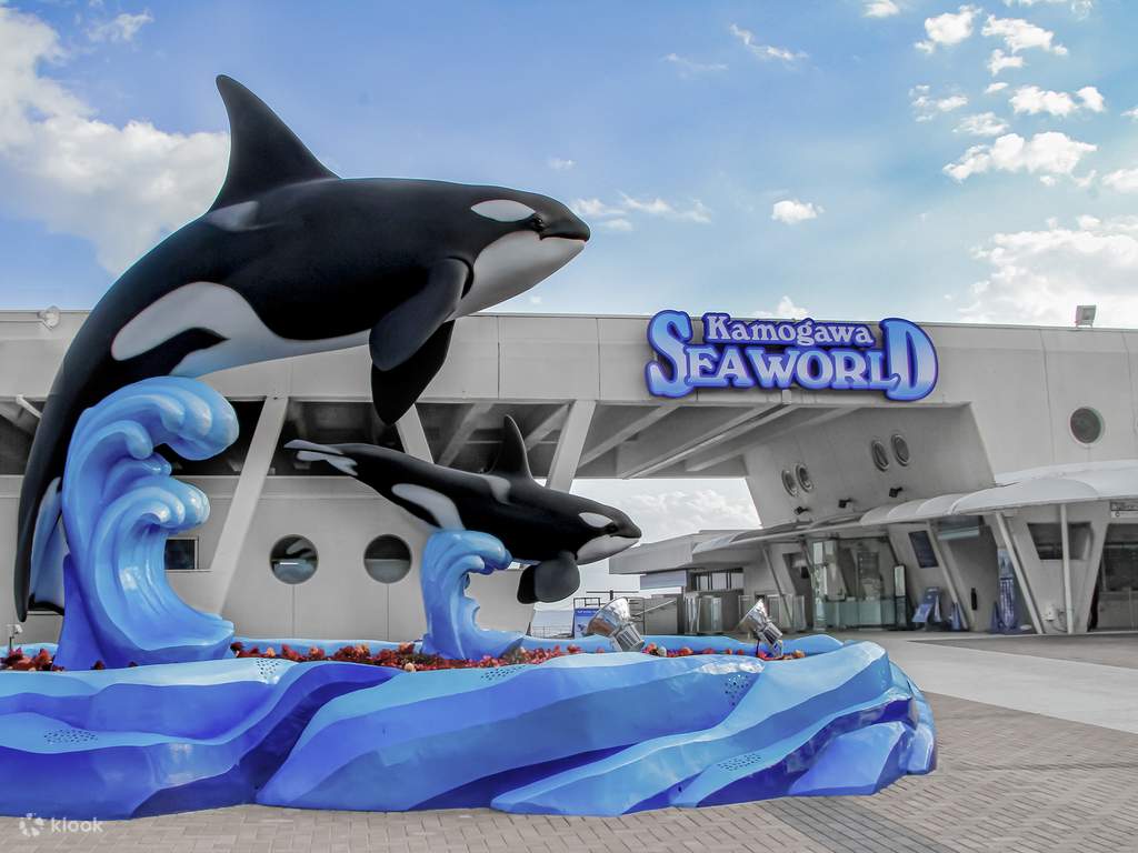 get close to the creatures of the sea at kamogawa sea world
