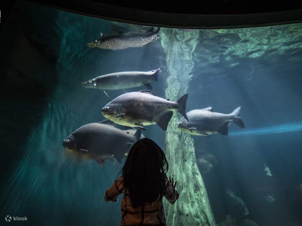aquaria klcc
