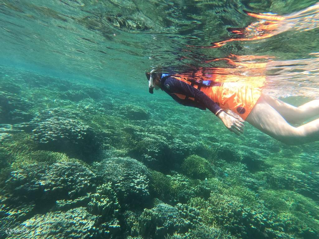 snorkeling