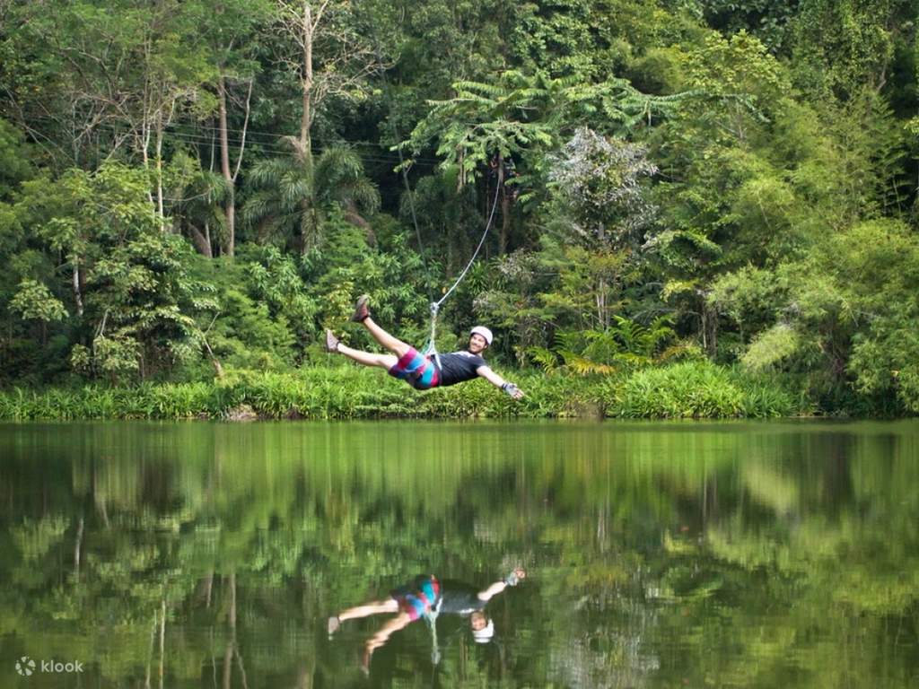 have an exciting time at tree top adventure park