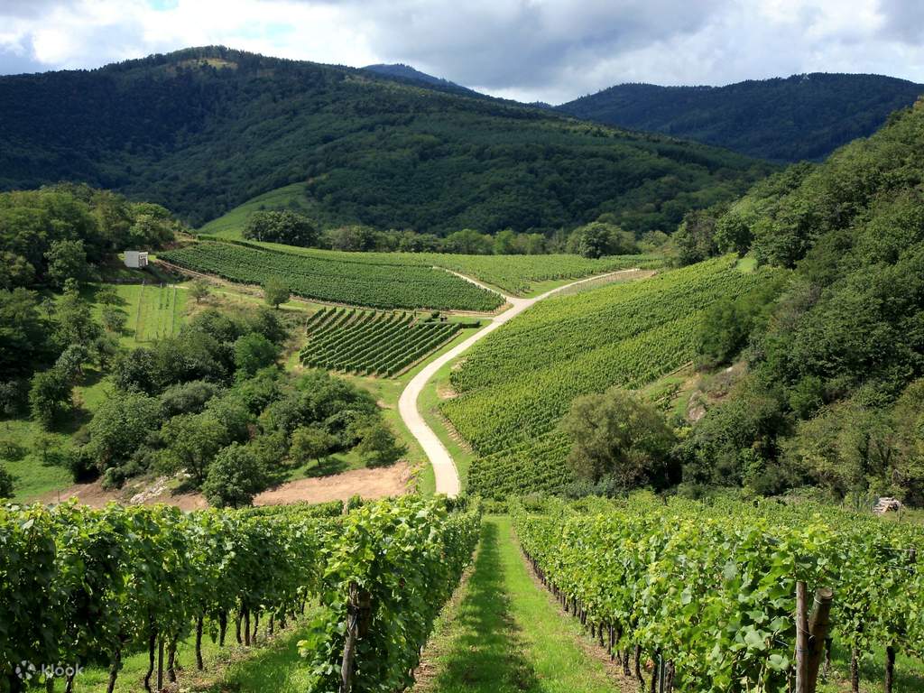 tour a gorgeous countryside