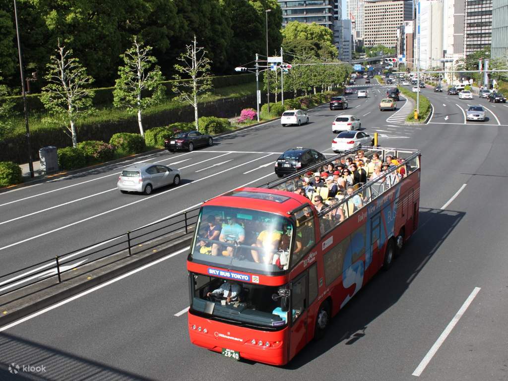 sky hop-on and hop-off bus pass