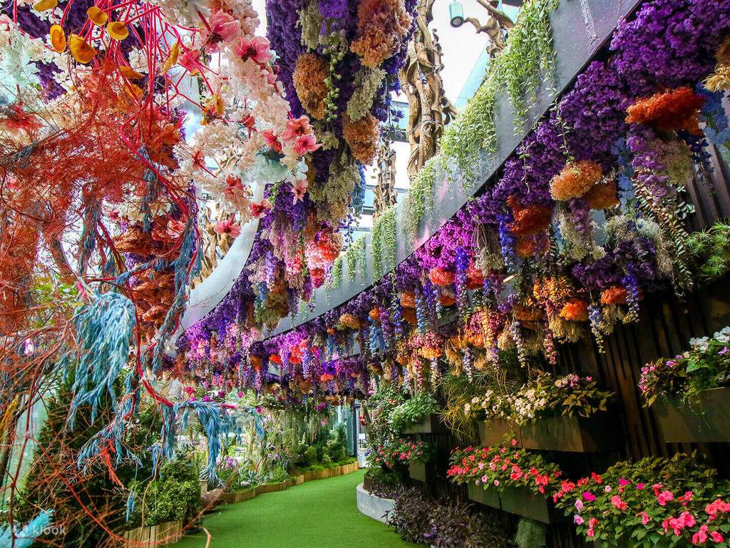gardens by the bay