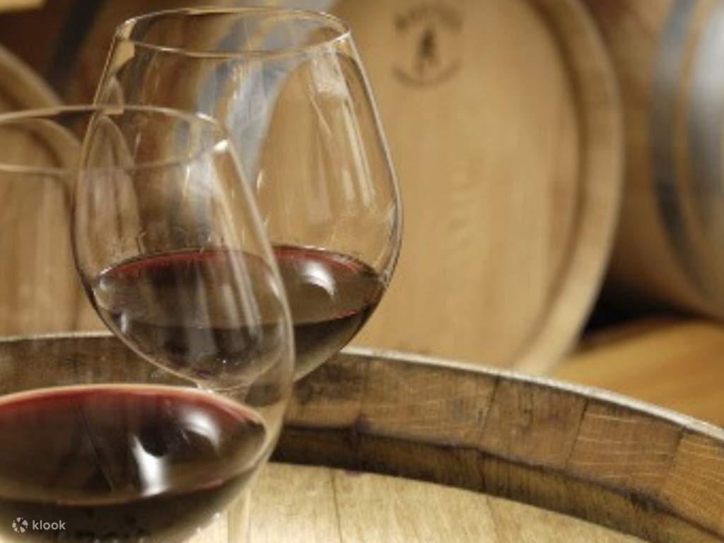 experience a half-day wine tour from aix-en-provence