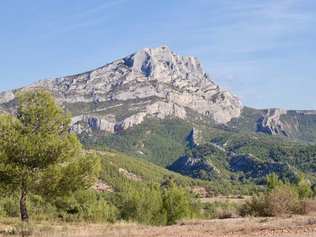 experience a half-day wine tour from aix-en-provence