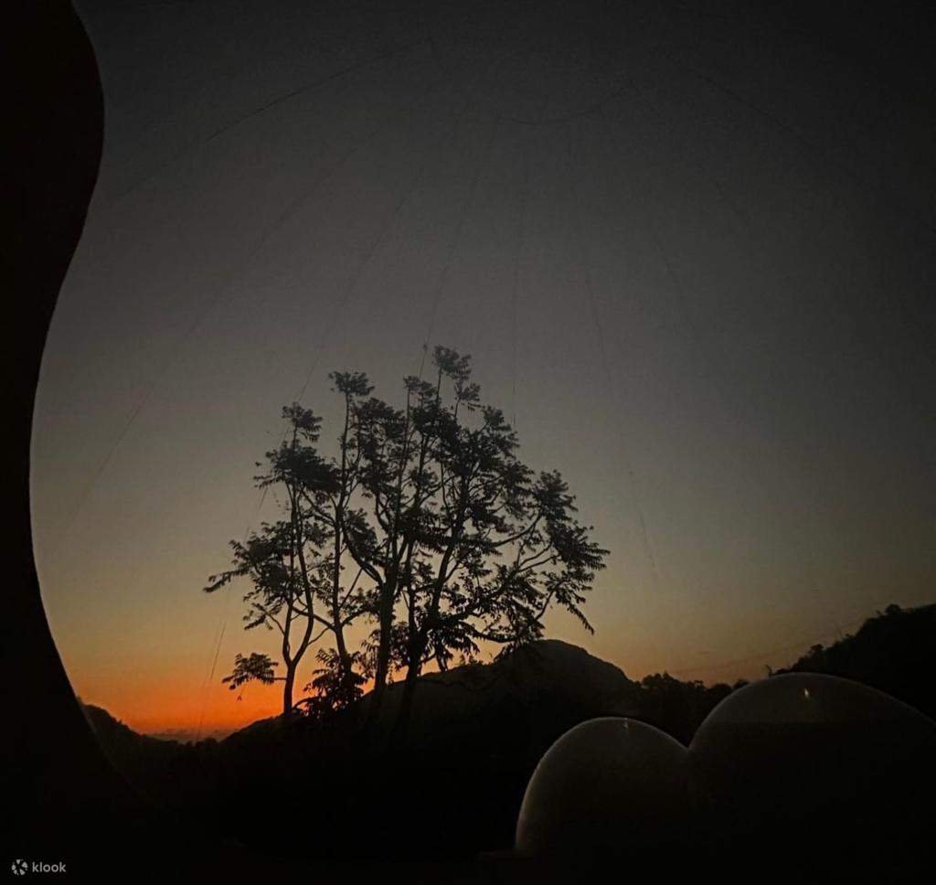 Esperienza di glamping naturale nel Galaxy Garden (Lantau)