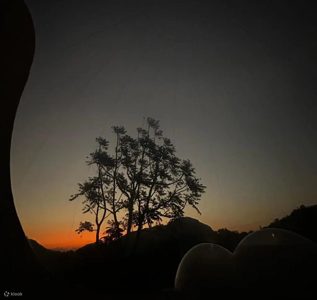 Natural Glamping Experience in Galaxy Garden(Lantau)
