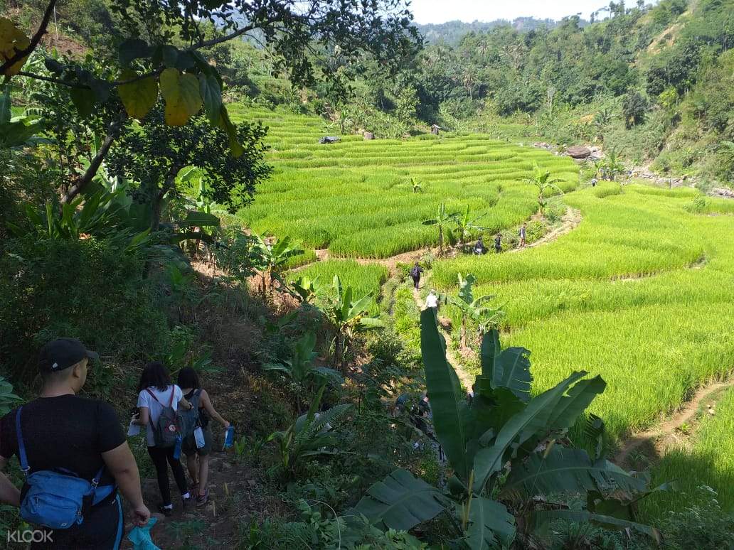 Curug Leuwi Hejo And Hutan Babakan Trekking In Bogor Klook Us