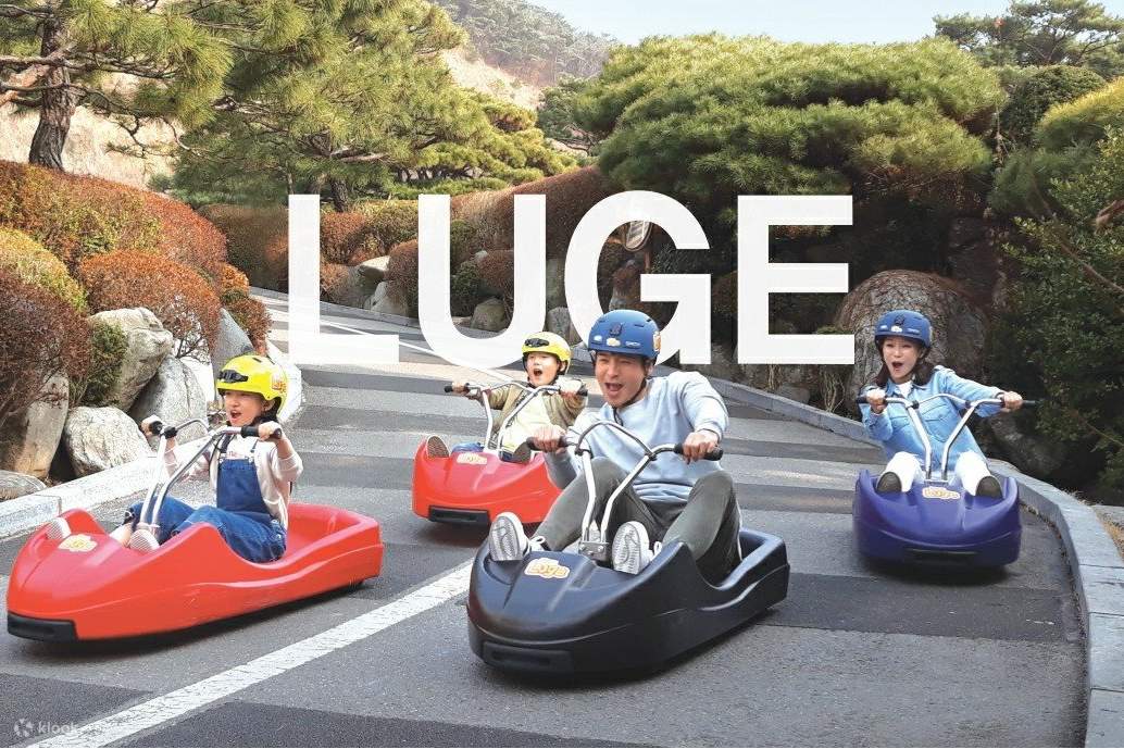Luge Riding Ganghwa Island Cherry Blossom Evening Tour with Luge Ride Experience ...