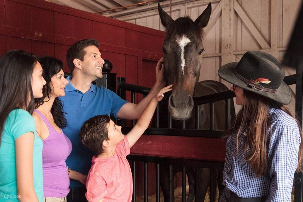 Knott's Berry Farm - 사람들이 말을 쓰다듬고 있습니다