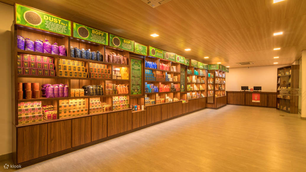 차 공장 탐험 & 시음 투어