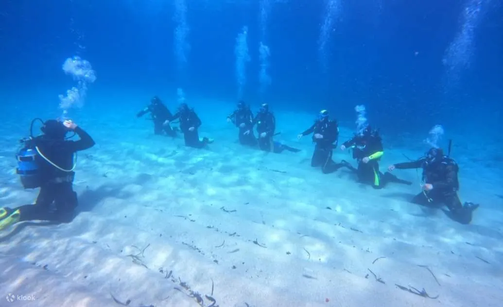 PADI 开放水域潜水员