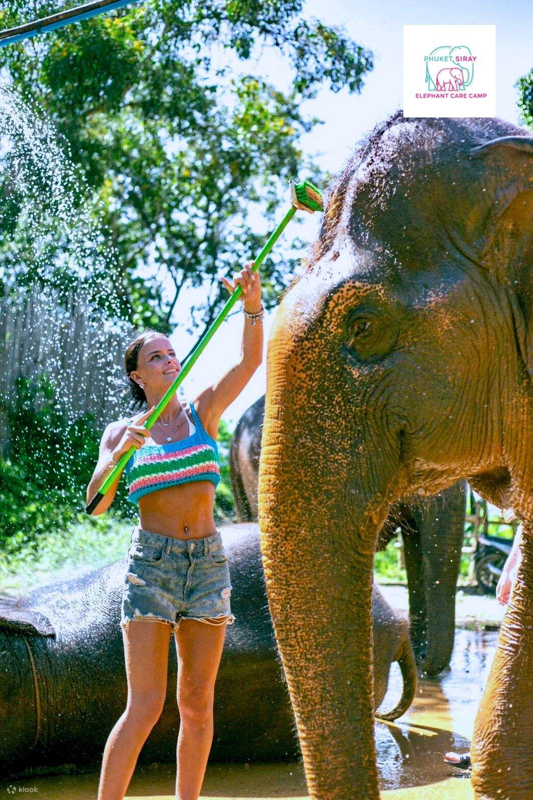 Trải nghiệm với voi và bãi biển tại Phuket Siray Elephant Care Camp