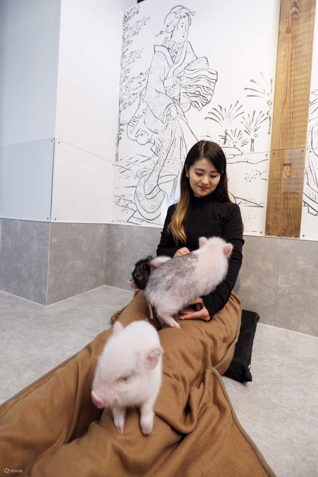 The piglets will fall asleep on your lap.