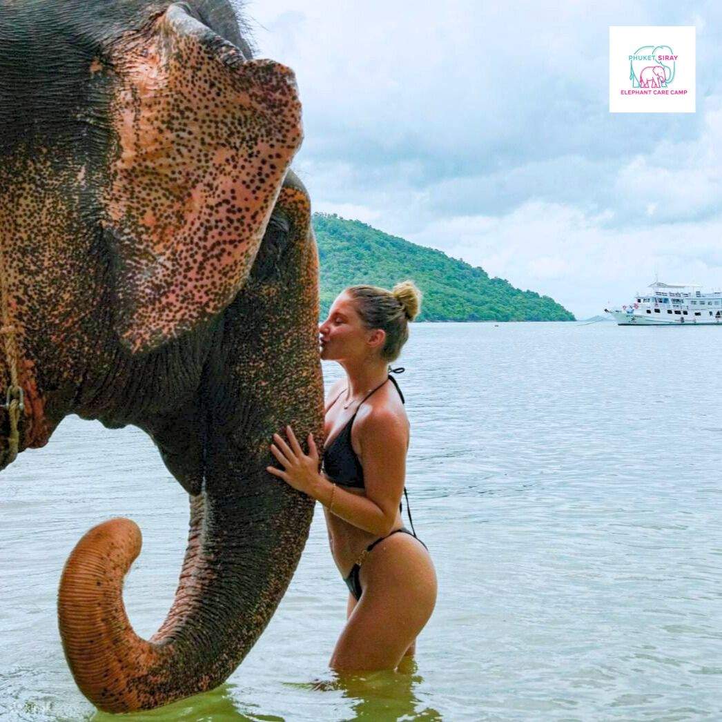 Trải nghiệm với voi và bãi biển tại Phuket Siray Elephant Care Camp