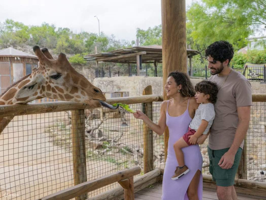 Ils partagent un moment joyeux et réconfortant tandis que la girafe se penche pour prendre de la nourriture dans leurs mains.